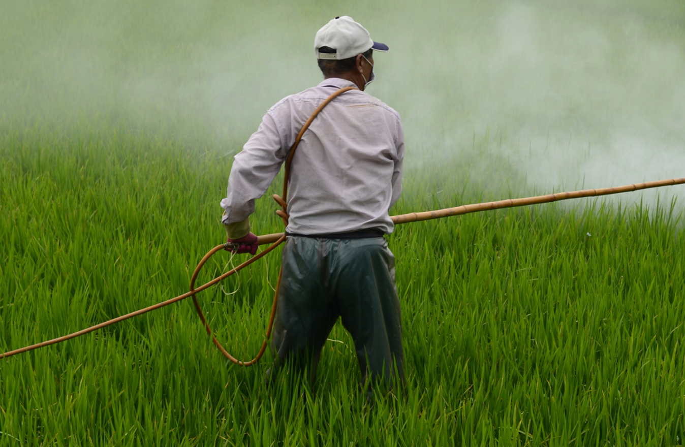 A man in a long shirt and pants hold a long pole out over a section of crops in a large field. The pole is spraying a mist over the plants. 